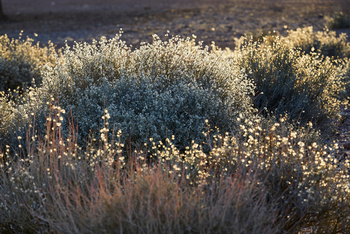 Nooishof: Landschaft