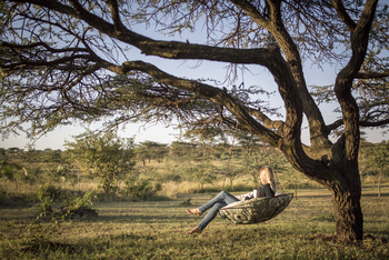 Richard's River Camp: Schaukel