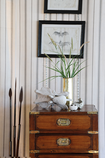 San Camp San Camp: Einrichtungsdetails im Hauptbereich