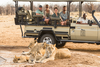 Savute Safari Lodge: Game Drive - Löwin mit Babies