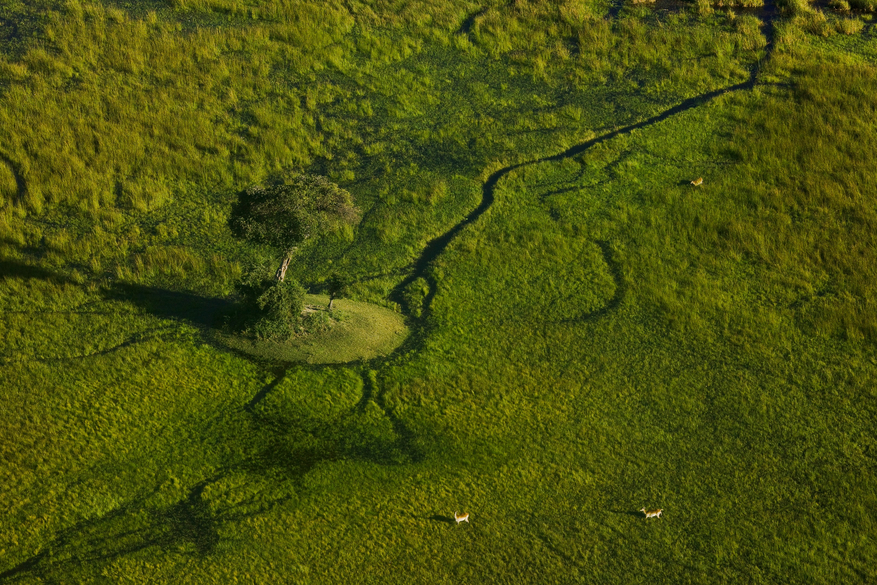 Sitatunga Private Island Camp
