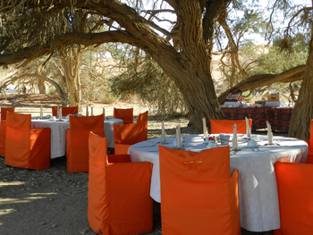 Sossusvlei Lodge: Bush Breakfast