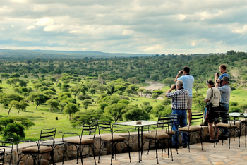 Tarangire Safari Lodge: Tierbeobachtung