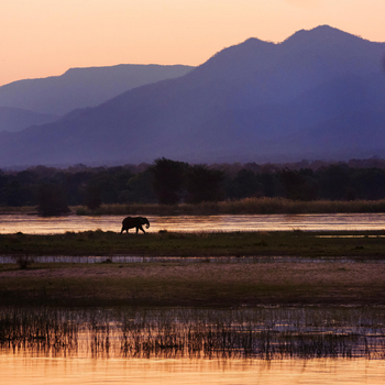 Vundu Camp Vundu Camp: Elefantensilhouette