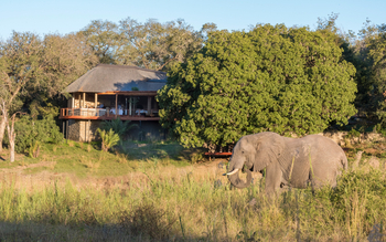 Dulini River: Elefant vor einer Suite