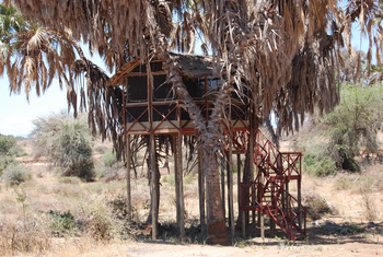 Elephant Bedroom Camp: .