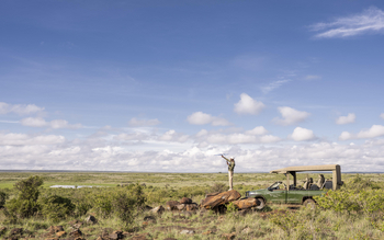 Governors' Mugie: Lion Tracking