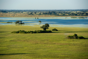 Jacana Camp: Überflutete Landschaft