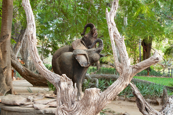 Tuli Safari Lodge Mashatu: Elefanten im Garten