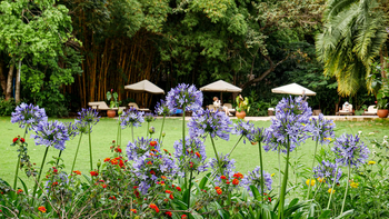 Moivaro Lodge: Entspannungsbereich im Garten mit Liegestühlen
