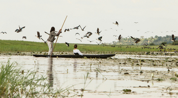 Muchenje Safari Lodge: Mokoro