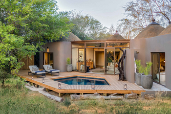 Sabi Sabi Bush Lodge: Gepard ruht im Morgenlicht unter Akazie