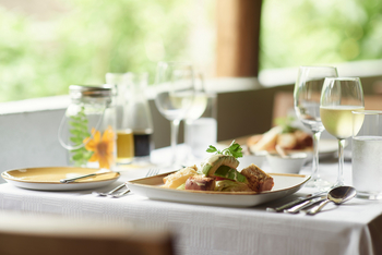 Sanctuary Gorilla Forest Camp: Lunch