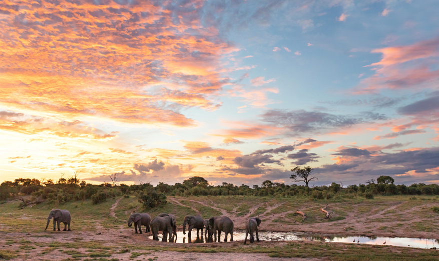 Savute Safari Lodge