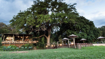 Shawa Luangwa Camp: Unter Bäumen