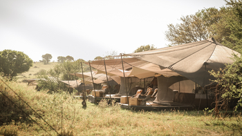 Siringit Migration Camp: Gästezelt im Busch