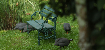 Spice Village: Perhühner