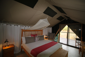 Tlouwana Camp Tlouwana Camp: Doppelbett im Gästezimmer