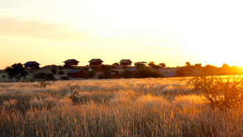 Bagatelle Kalahari Game Ranch: Chalets auf dem Dünenkamm