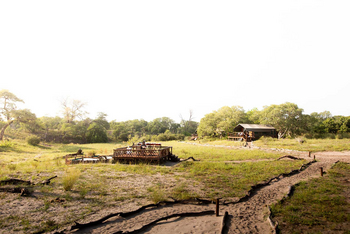 Camp Savuti: Gesamtbild