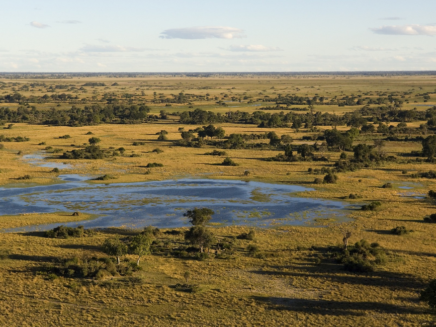 Duba Plains Camp