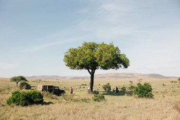 Elewana Sand River Masai Mara Camp Elewana Sand River Masai Mara Camp: Lunch unter Akazie