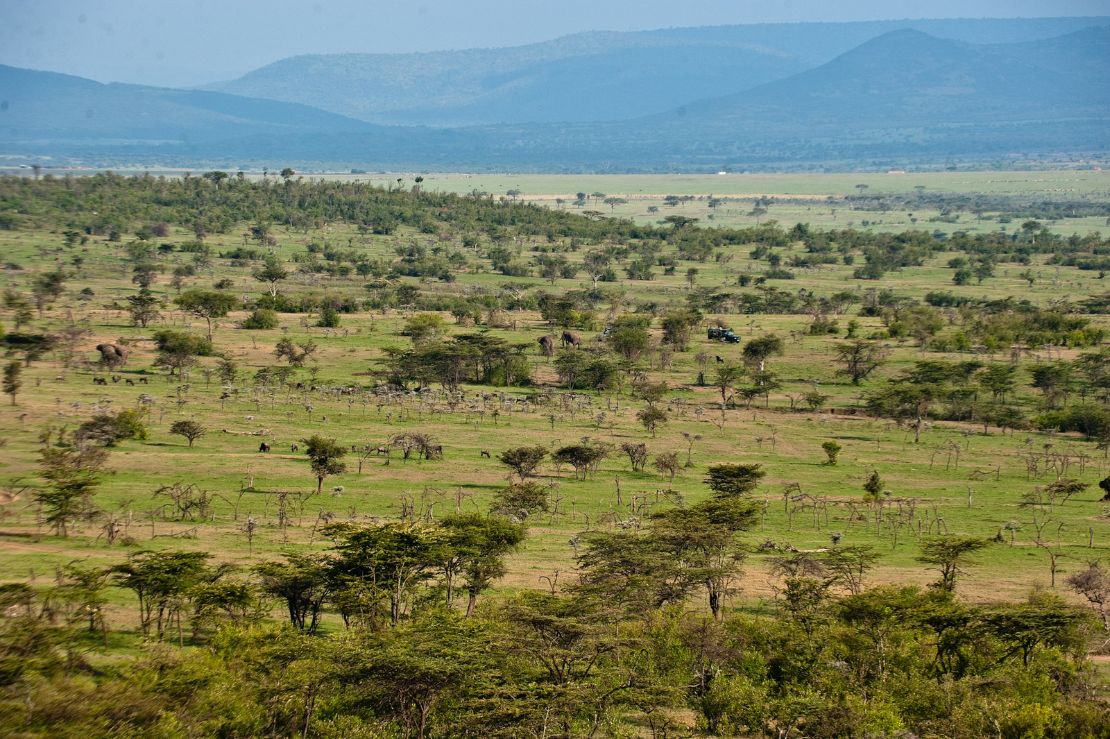 Kicheche Valley Camp Kicheche Valley Camp: Landschaft beim Game Drive