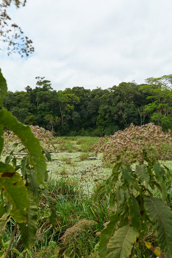 Koroi Forest Camp: Landschaft des Nationalparks