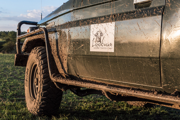 Losokwan Luxury Tented Camp: Safari Auto Nahaufnahme