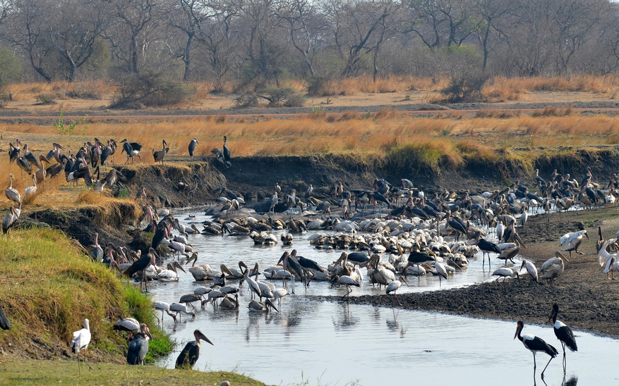 Mbali Mbali Katavi Camp