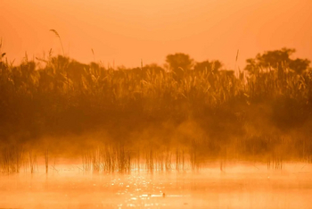 Mogogelo Camp Mogogelo Camp: Morgendunst