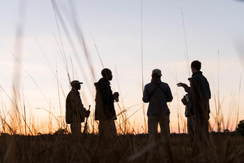 Mukambi Busanga Plains Camp: Guide mit Gästen