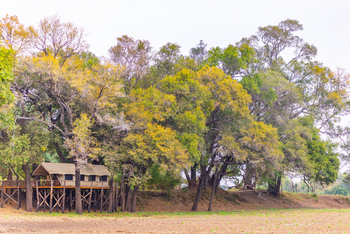 Painted Dogs Lagoon Camp: Zelt am Rand der Lagune