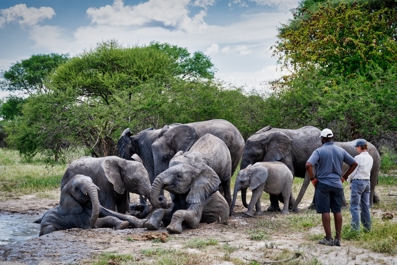 Semowi Nature Camp: Elephant Havens