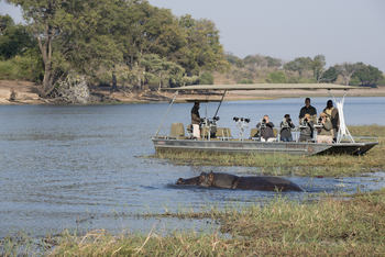 andBeyond Chobe under Canvas: Nilpferd