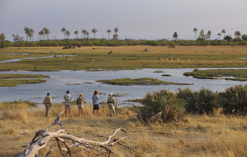 andBeyond Sandibe Okavango Safari Lodge: Flood Plain