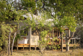 Amber River Camp: Telt zwischen Bäumen