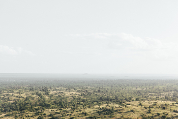 Chilo Ivory Trail Adventure: Woodland