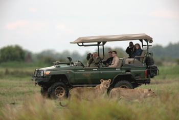 Duba Explorers Camp: Geländewagen mit Löwen