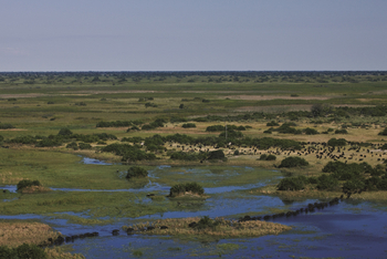 Duba Explorers Camp: Landschaft in den Duba Plains