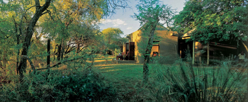 Sabi Sabi Bush Lodge: Gemütliche Stühle auf Holzterrasse im Sonnenlicht