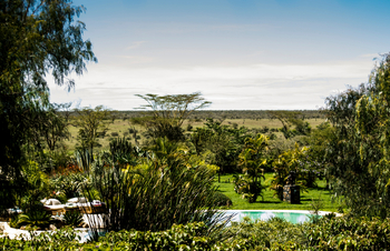 Segera Retreat: Savanne hinter dem Garten