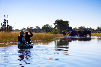 Selinda Explorers Camp Selinda Explorers Camp: Kanu und Elefanten