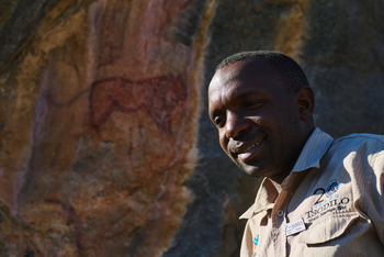 Tsodilo Hills Sleep-out: Felsmalereien