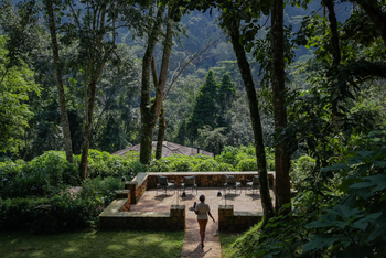 Volcanoes Bwindi Lodge: Garten