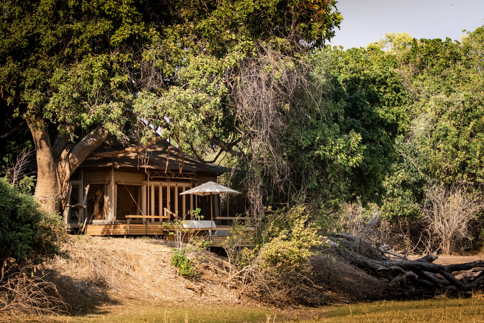 Chikwenya Camp Chikwenya Camp: Gästezelt im Freien