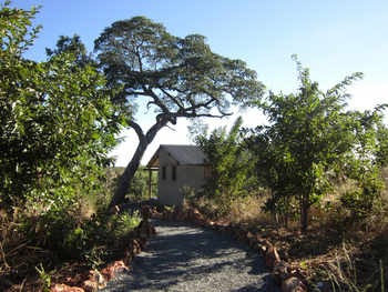 Chobe Elephant Camp: Zugang zu Gästechalet