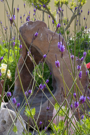 Cornerstone Guesthouse: Gartendekoration