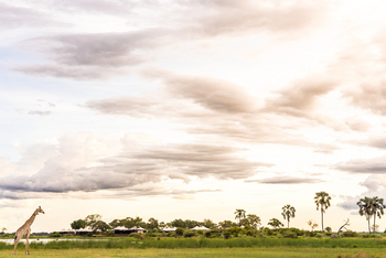 Daunara Safari Camp: Landschaft am Camp