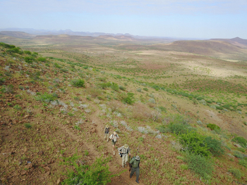 Etendeka Mountain Camp Etendeka Mountain Camp: Wanderung
